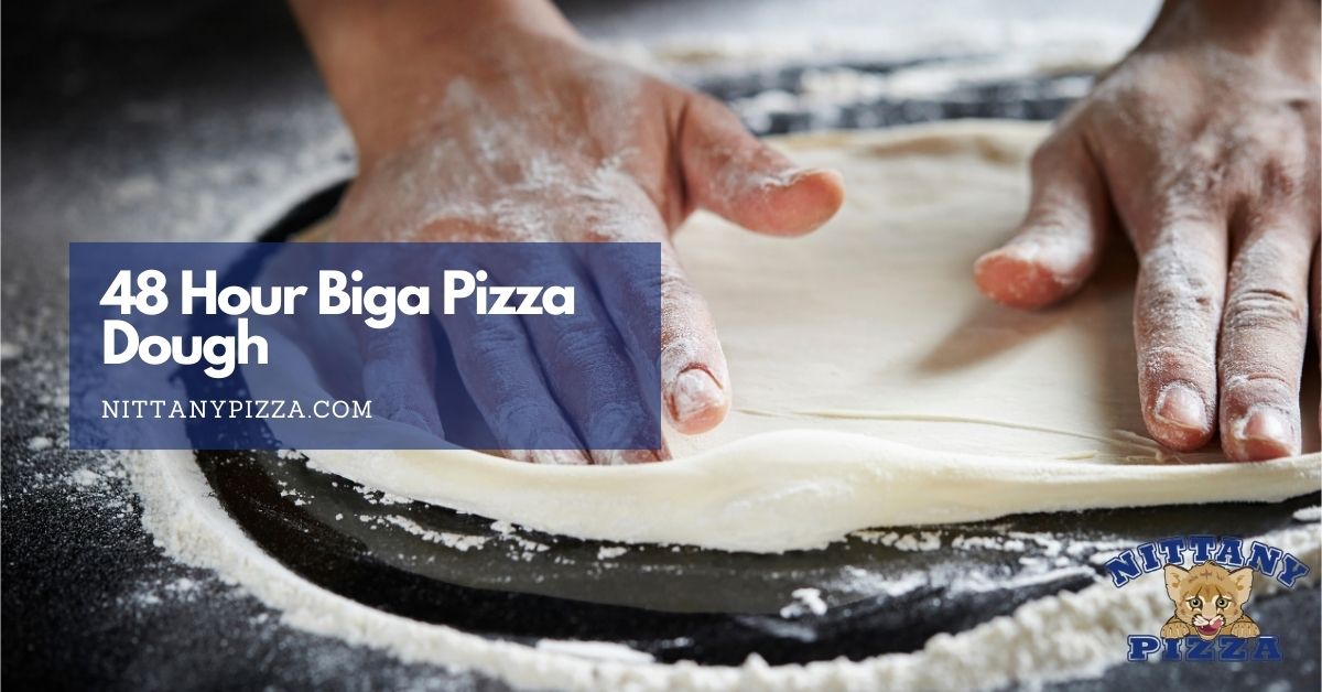 48 hour biga pizza dough